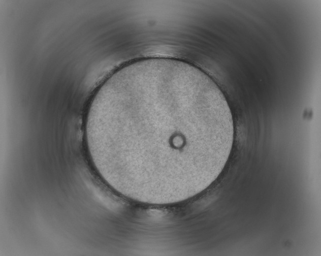 X0000111790302200908131418