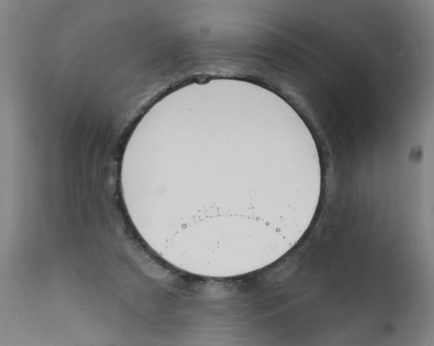 X0000111790305200908131418