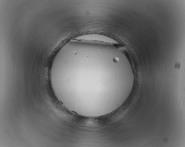 X0000111790308200908131418