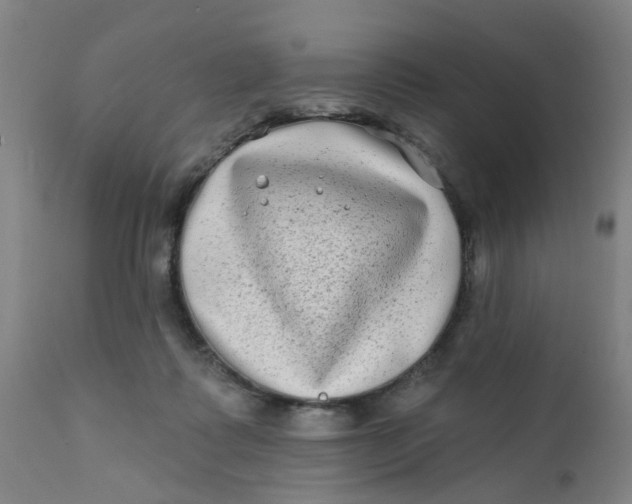 X0000111790315200908131418