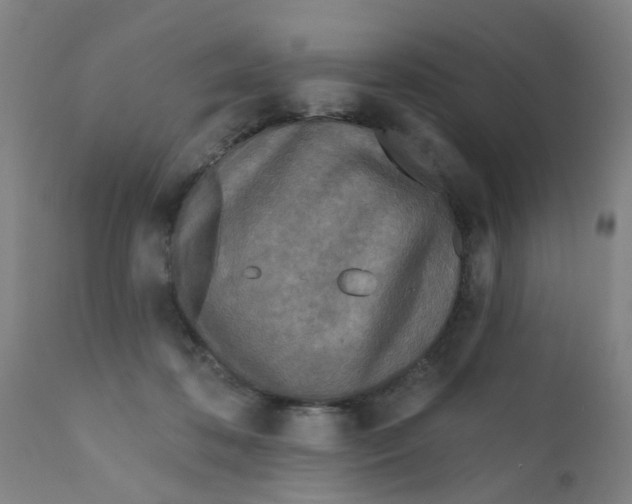 X0000111790316200908131418