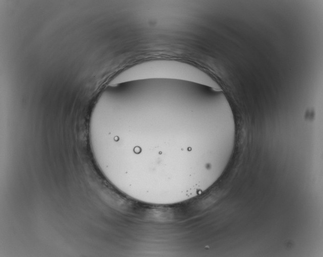 X0000111790317200908131418