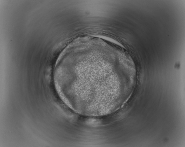 X0000111790319200908131418