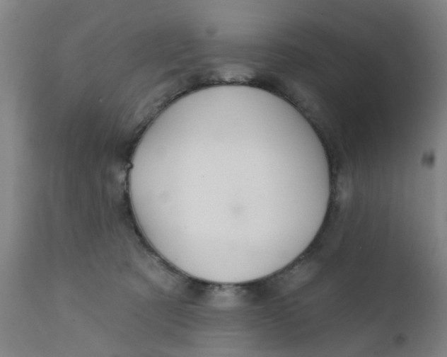 X0000111790321200908131418