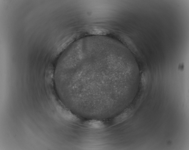 X0000111790322200908131418