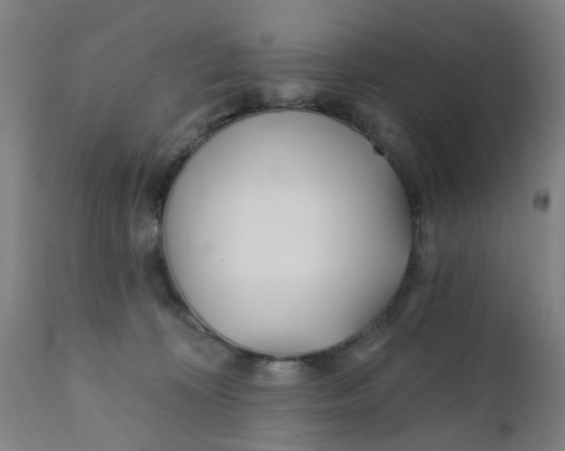 X0000111790324200908131418