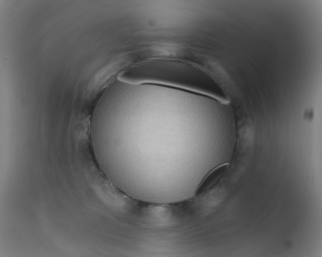 X0000111790325200908131418