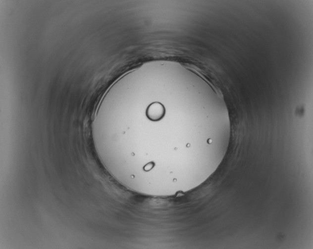 X0000111790327200908131418