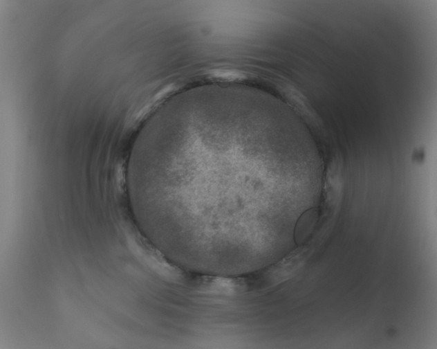 X0000111790330200908131418