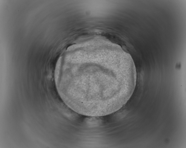 X0000111790331200908131418