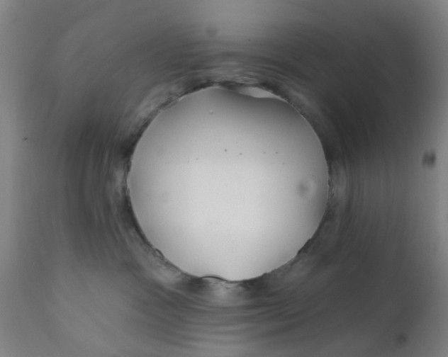 X0000111790333200908131418