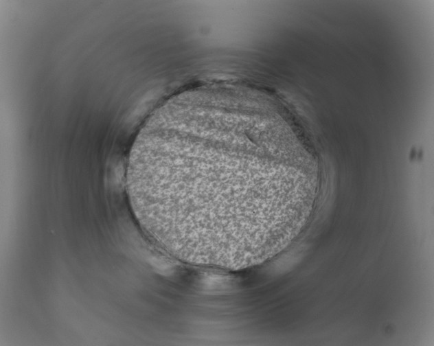 X0000111790336200908131418