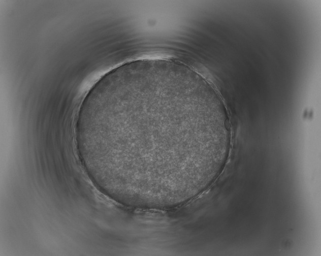 X0000111790337200908131417