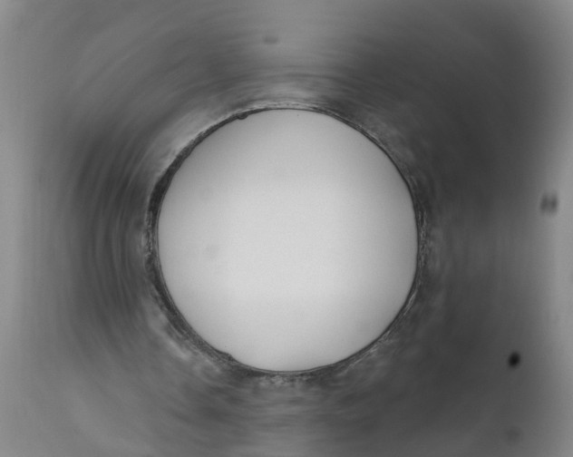 X0000111790338200908131417