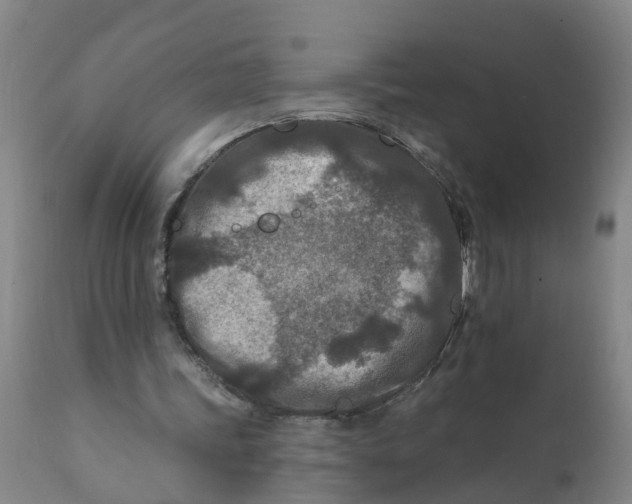 X0000111790339200908131417