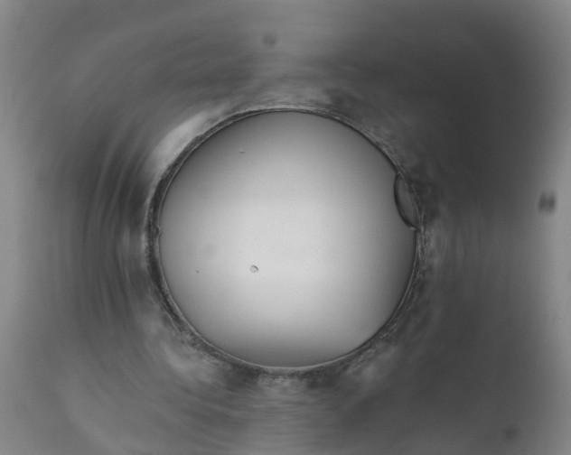 X0000111790340200908131417