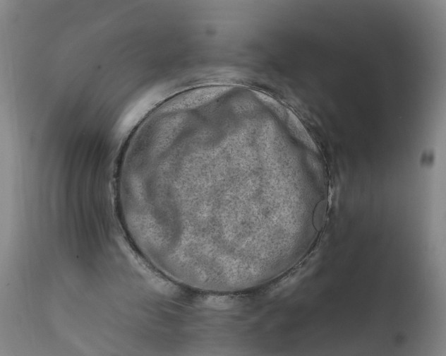 X0000111790341200908131417