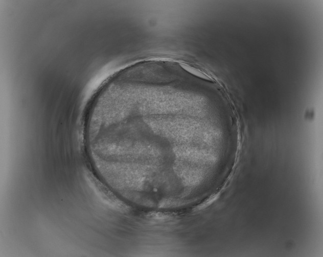 X0000111790343200908131417