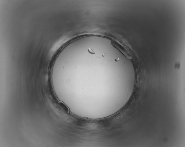 X0000111790344200908131417