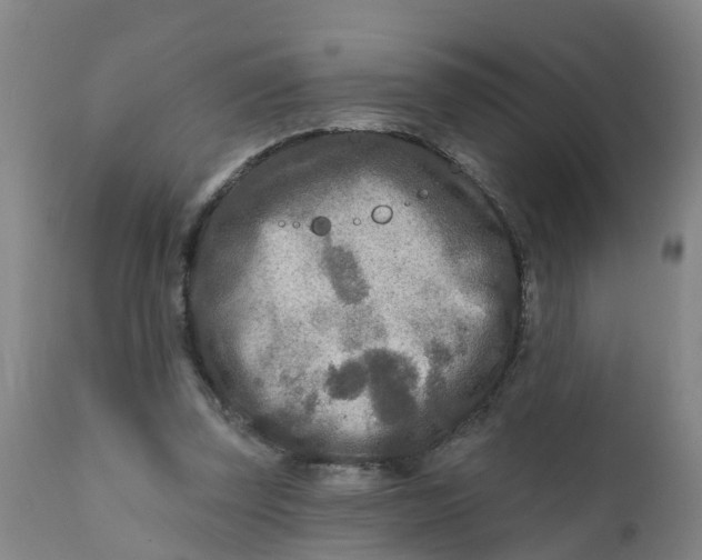 X0000111790347200908131417