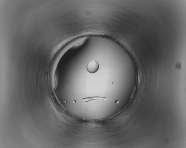 X0000111790348200908131417