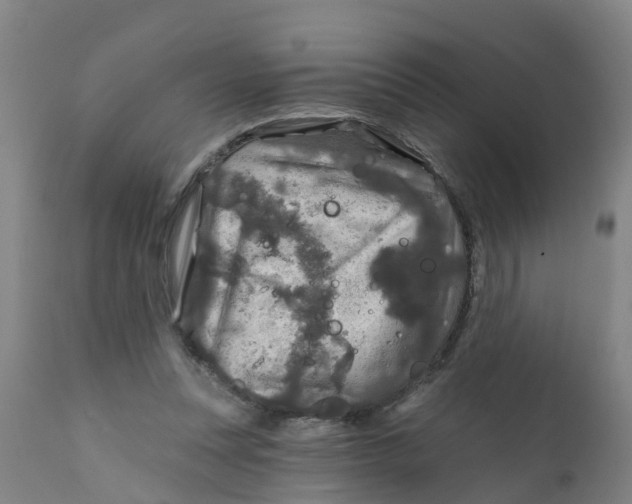 X0000111790351200908131418