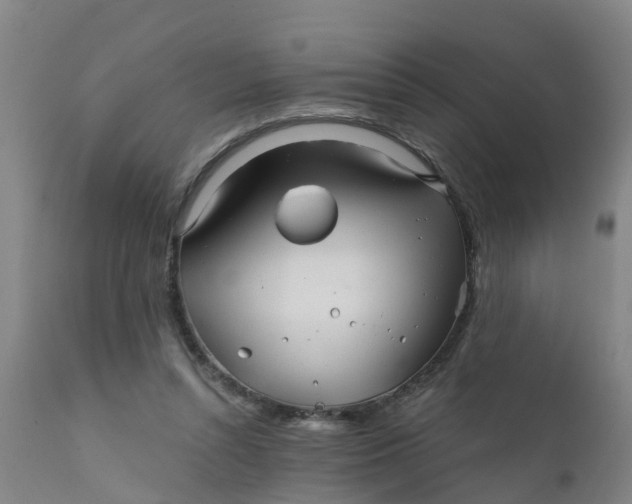 X0000111790352200908131418