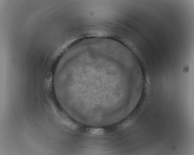 X0000111790355200908131418