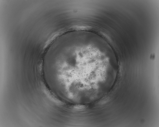 X0000111790357200908131418