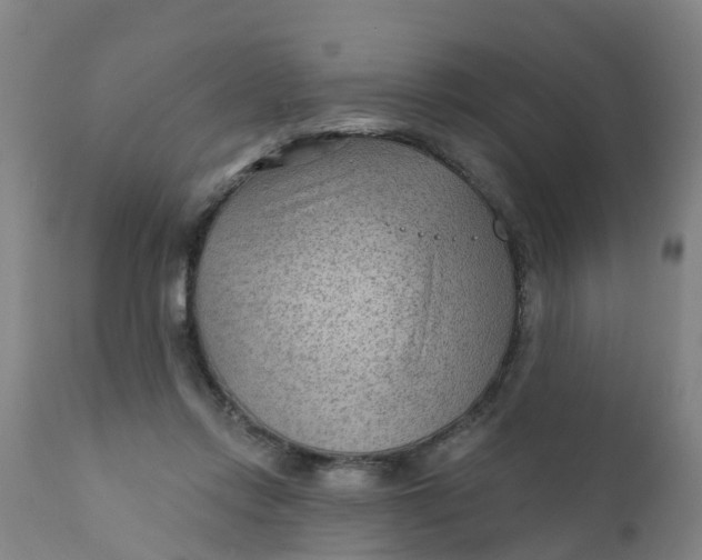 X0000111790358200908131418