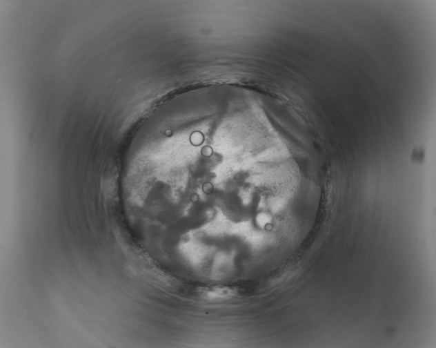 X0000111790359200908131418