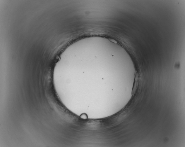 X0000111790362200908131418