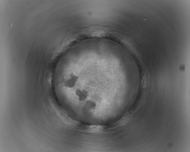 X0000111790363200908131418