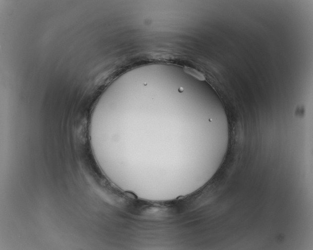 X0000111790364200908131418