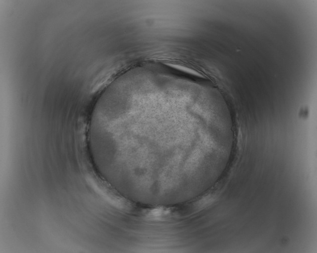 X0000111790366200908131418