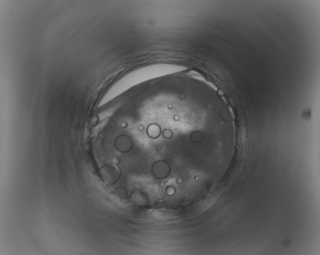 X0000111790367200908131418