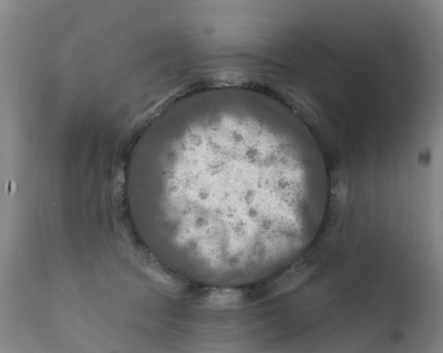 X0000111790369200908131418