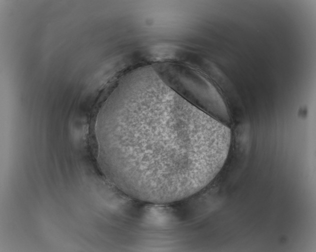 X0000111790372200908131418