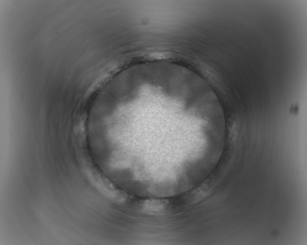 X0000111790373200908131418