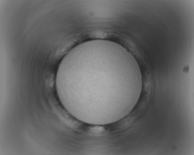 X0000111790374200908131418