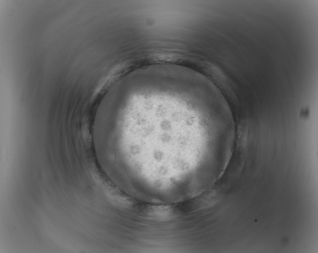 X0000111790377200908131418