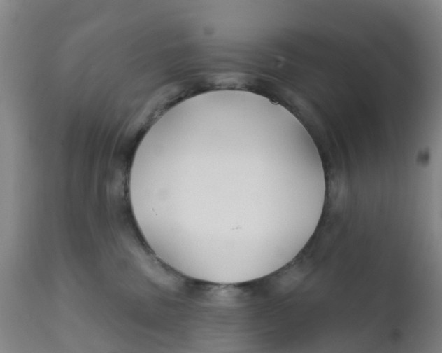 X0000111790379200908131418