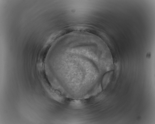 X0000111790381200908131418