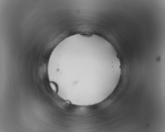 X0000111790382200908131418