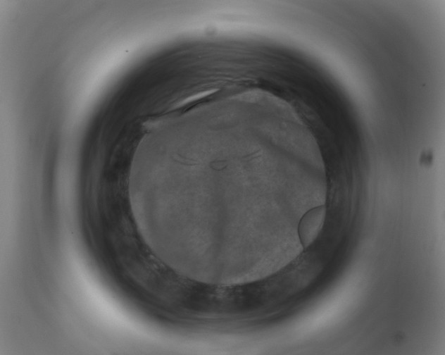 X0000111790383200908131418