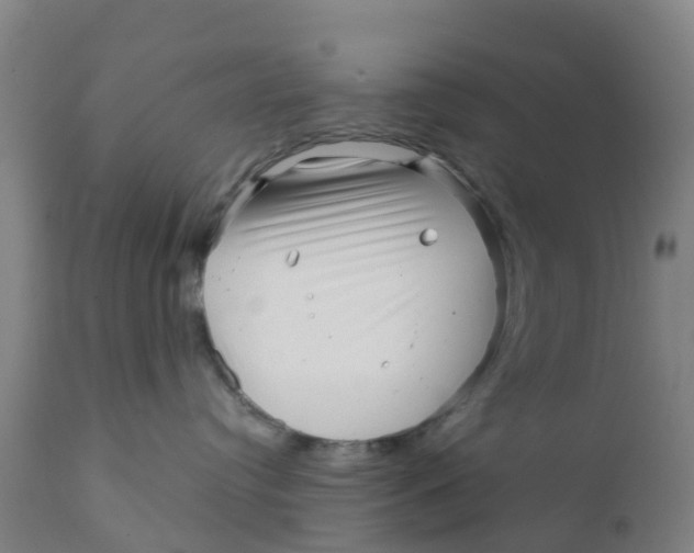 X0000111790384200908131418