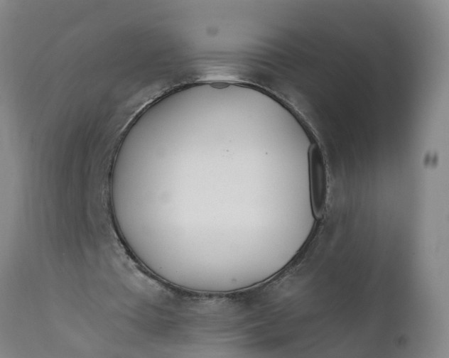 X0000111790385200908131417