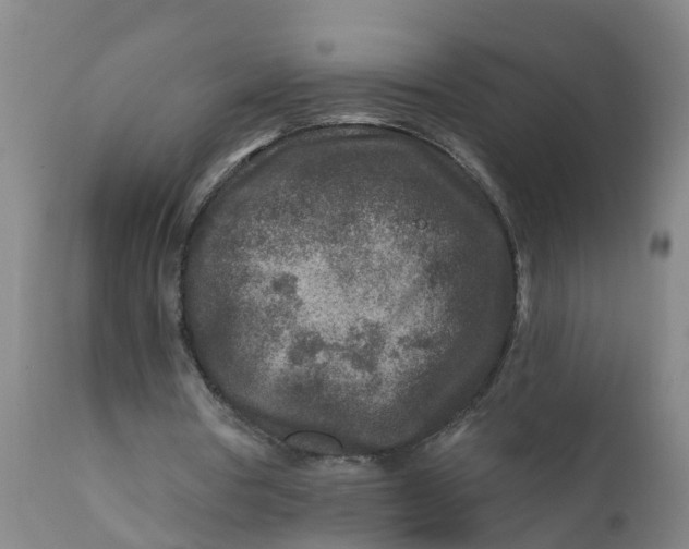 X0000111790386200908131417