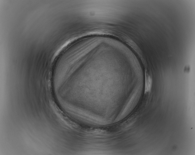 X0000111790387200908131417