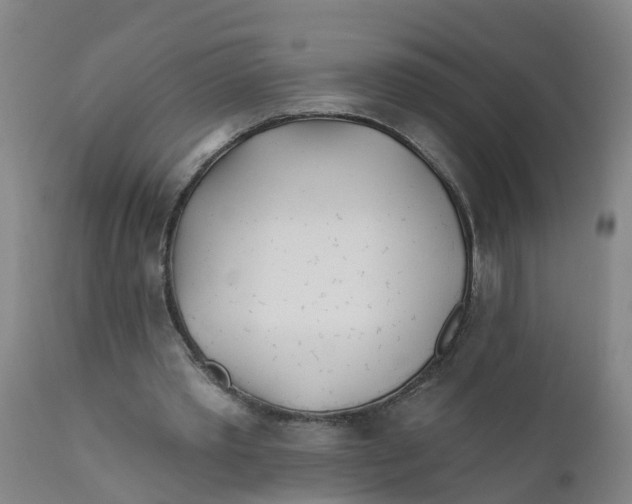 X0000111790389200908131417